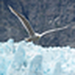 Profile Picture of Once-Upon-A-Time (@Once-Upon-A-Time) on Flickr