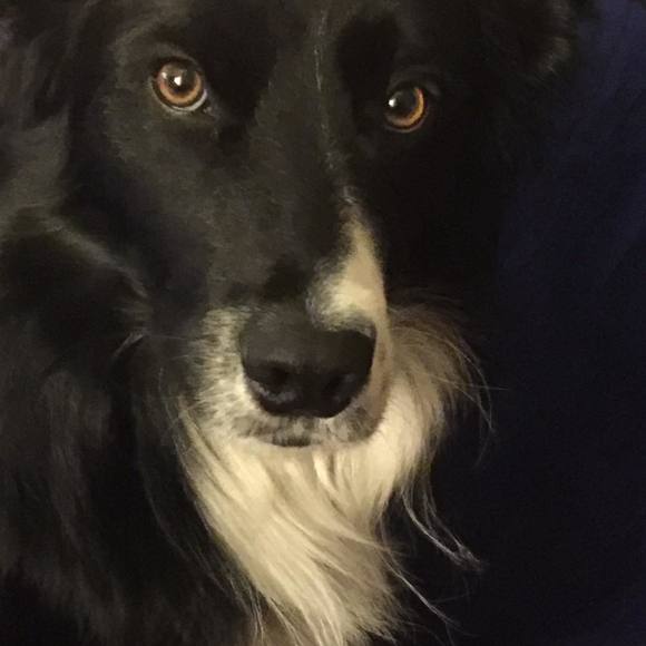 Profile Picture of Mary Mclarnon (@mmmclarnon) on Poshmark