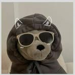 Profile Picture of Jhonny Michel (@pepe.triste.2025) on Facebook