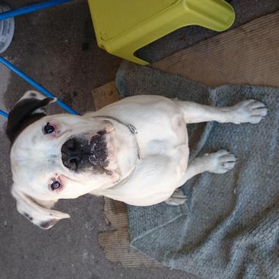 Profile Picture of Flavio Jose Pinto (@flaviopinto83) on Twitter