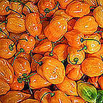 Bonitavistaphotography - Flickr Profile Picture of Bonitavistaphotography (@bonitavistaphotography) on Flickr