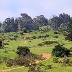 Daniela Salinas - Facebook Profile Picture of Daniela Salinas (@Daniela-Salinas) on Facebook