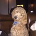 Profile Picture of Keith Lammers (@keith.lammers.125) on Facebook