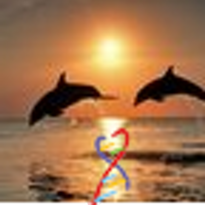 Profile Picture of Chris (@hollie1214) on Twitter