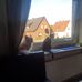 Profile Picture of Sascha Kemper (@sascha.kemper.1272) on Facebook