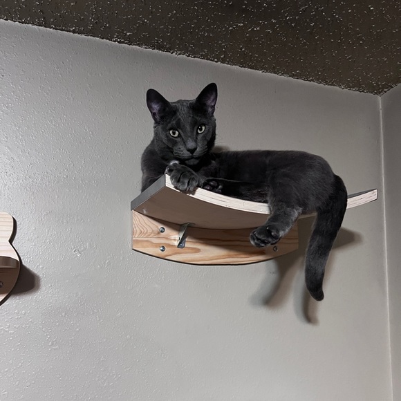 Profile Picture of William Huffman (@huffwill87221) on Poshmark