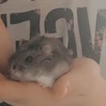 Echo Clark - Instagram Profile Picture of Echo Clark (@echoclark24) on Instagram