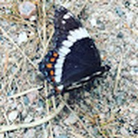 Profile Picture of Jacob Ducharme (@jacob-ducharme-4) on Quora
