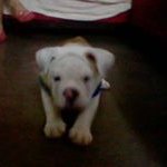 Profile Picture of oswaldo daniel tadino lopez (@oswaldodamtadino) on Instagram