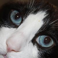 Profile Picture of Amber Luckey (@amber-luckey-4) on Quora