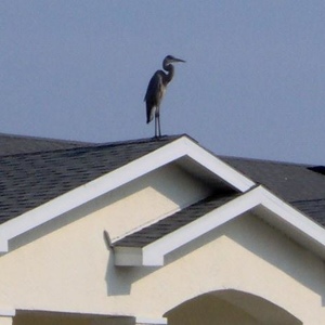 Profile Picture of Shelly Randle (@381468328) on Myspace