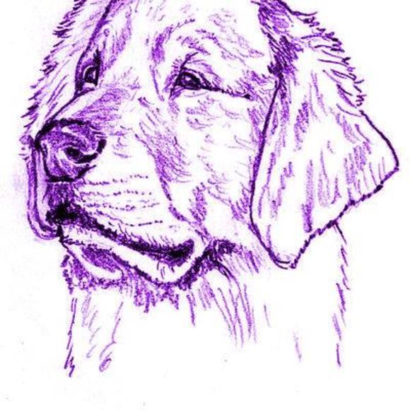 Ray Tierney - Poshmark Profile Picture of Ray Tierney (@murphyt643) on Poshmark