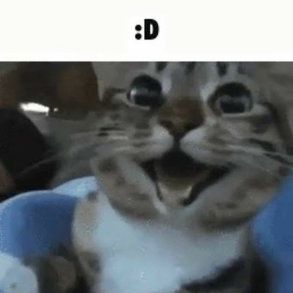 Profile Picture of Leigh Hillesheim (@leighlee12333) on Poshmark