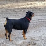 Profile Picture of Randy Boyette (@simplymanrb) on Instagram