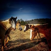 Profile Picture of Hannah Simmonds (@hannah-simmonds-6) on Quora