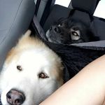 Profile Picture of janett alcala (@alcalajanett) on Instagram