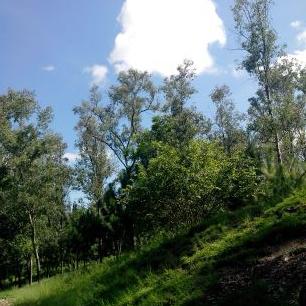 Profile Picture of Felipe Albino Cruz (@felipealbino388) on Twitter