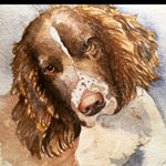 Victoria - Instagram Profile Picture of Victoria (@victoria.de.borbon) on Instagram