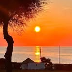 Benny La Barbera - Facebook Profile Picture of Benny La Barbera (@benito.labarbera) on Facebook