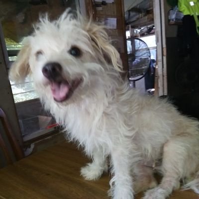 Randy Keesler - Twitter Profile Picture of Randy Keesler (@keesler_randy) on Twitter