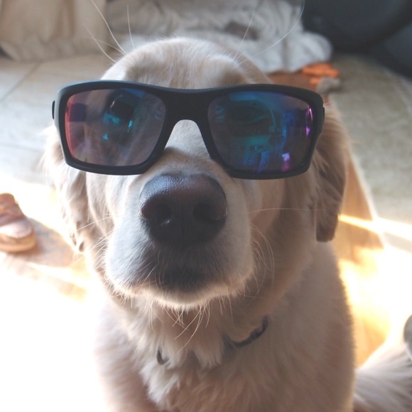 Profile Picture of Vera Vera (@alehbaba) on Poshmark