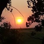 joseph bedwell - Instagram Profile Picture of joseph bedwell (@poorgto) on Instagram