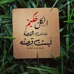 Profile Picture of Amany Nofal (@amanynofal197) on Instagram