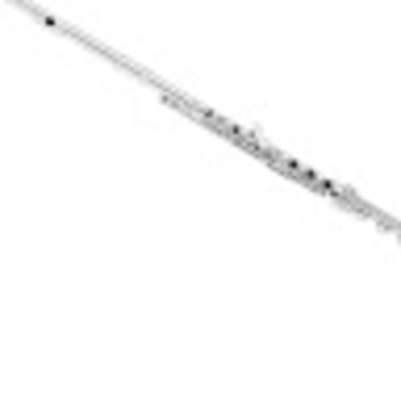 Profile Picture of Fluteyflute Flute (@mothwings_1) on Poshmark