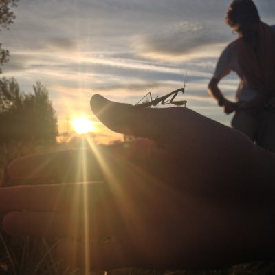 Profile Picture of Michael Edward Barbuto (@michaelebarbuto) on Twitter