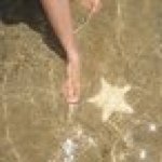 Profile Picture of jodiworrell2392 (@jodiworrell2392) on Instagram