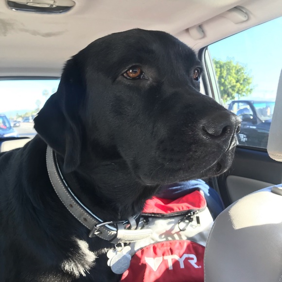 Profile Picture of Dania Janczak (@dmj992) on Poshmark