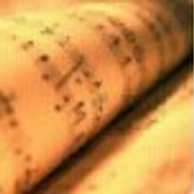 Profile Picture of David Wings (@wingscotte) on Twitter