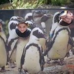 Profile Picture of Kevin Hermann (@helicopterobsession) on Instagram