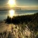 Profile Picture of Cindy Powers (@beaglegirl4562) on Pinterest