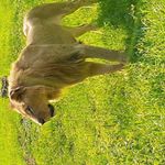 Profile Picture of Benjamin Banda (@benjamin.banda.58) on Instagram