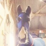 Profile Picture of Stephanie boyce (@stephanieboyce94) on Instagram