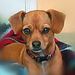 Profile Picture of Carroll Locklear (@scionblue) on Pinterest