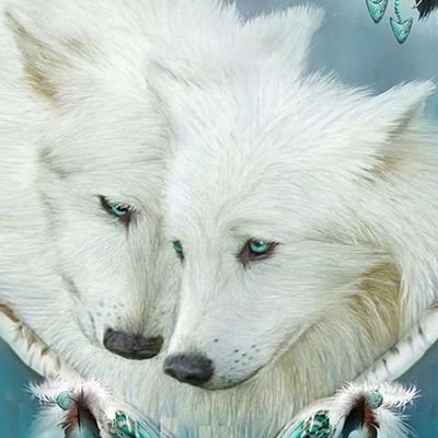 Profile Picture of Malia Stephens (@MaliaSt06651264) on Twitter