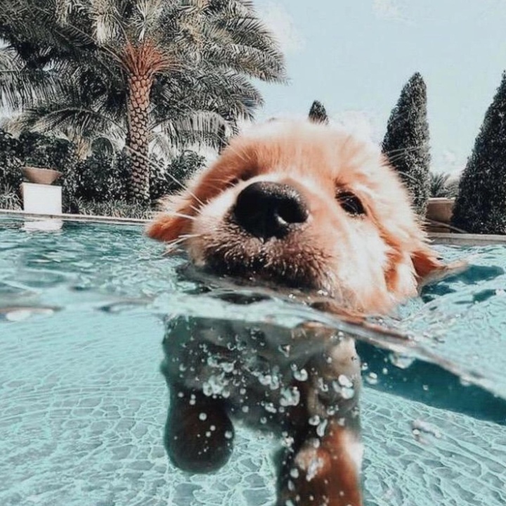 Profile Picture of 🕵🏻‍♂️ (@charlie_mathis1) on Tiktok