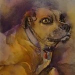 Profile Picture of Malcolm Lacey (@maclac49) on Instagram