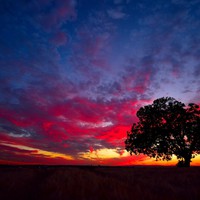 Profile Picture of Deepak Purohit  (@deepak-purohit-163) on Quora