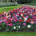 Profile Picture of Felix Cheng (@felix_0cheng) on Instagram