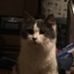 Profile Picture of Victor Glidden (@victor.glidden.14) on Facebook