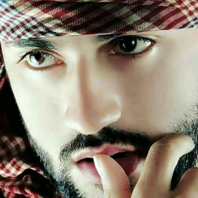 Profile Picture of Arnold wild (@arnold.wild) on Tiktok