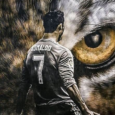 Profile Picture of @Robert (@jeremias_888) on Tiktok