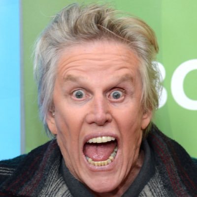 Gary Busey, Nat’l Treasure - Twitter Profile Picture of Gary Busey, Nat’l Treasure (@ncirish2002) on Twitter