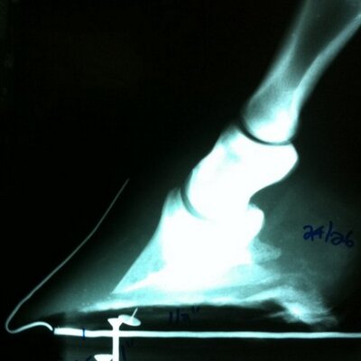 Profile Picture of Andy Botello (@NewEraFarriers) on Twitter