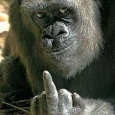 Profile Picture of ruperto.campos (@rupertocampos) on Twitter