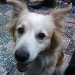 Profile Picture of k4625387 (@k4625387) on Flickr