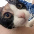 Profile Picture of Jarrod Endsley (@jarrod.endsley.1) on Facebook